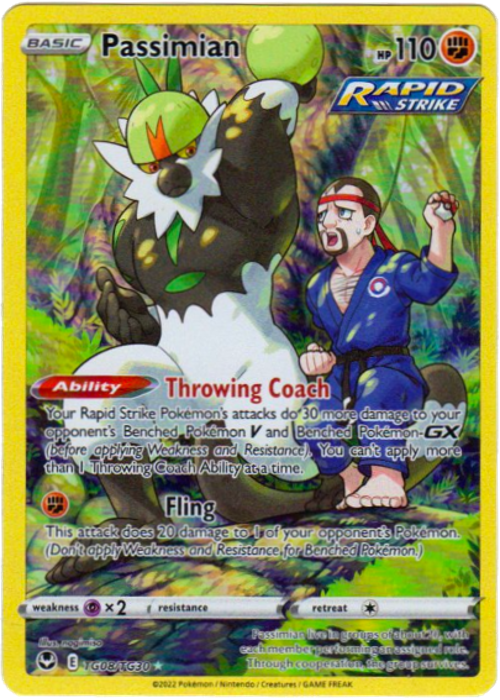 Trainer Gallery Passimian